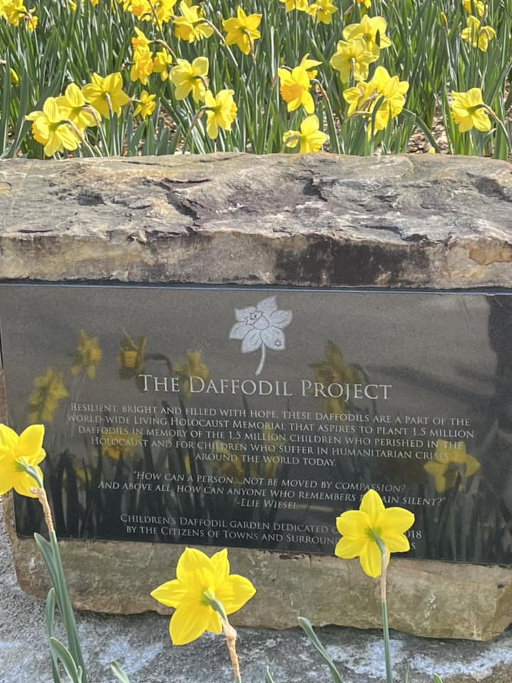 Daffodil Project image